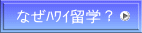 なぜﾊﾜｲ留学？
