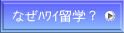 ȂܲwH