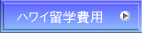 ハワイ留学費用