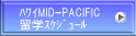  ܲMID-PACIFIC  wޭ