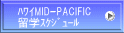  ܲMID-PACIFIC  wޭ